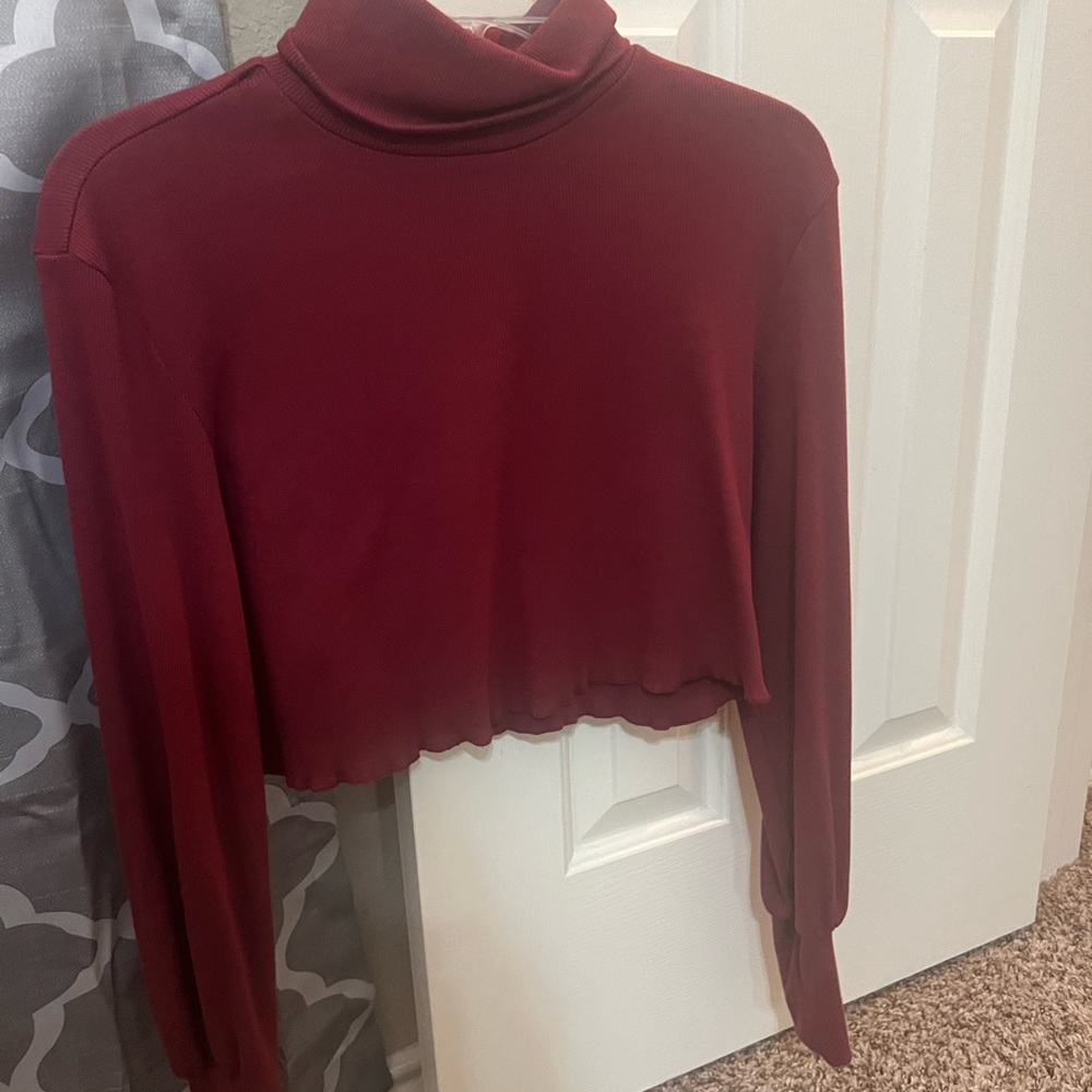 Long sleeved turtleneck crop top